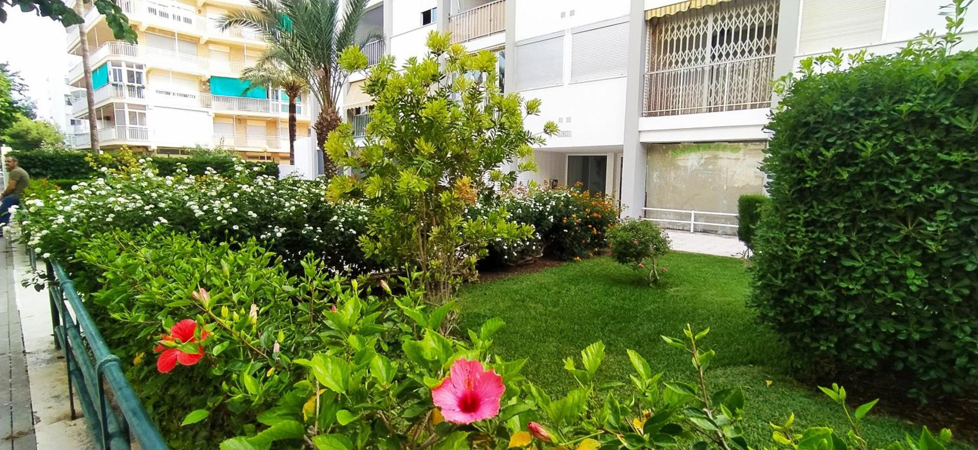 Apartamento Ola Marina Solo Familias Playa de Gandía Exterior foto